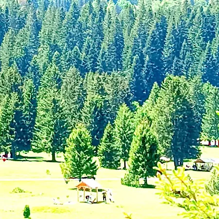 Oaza Daire Saraybosna