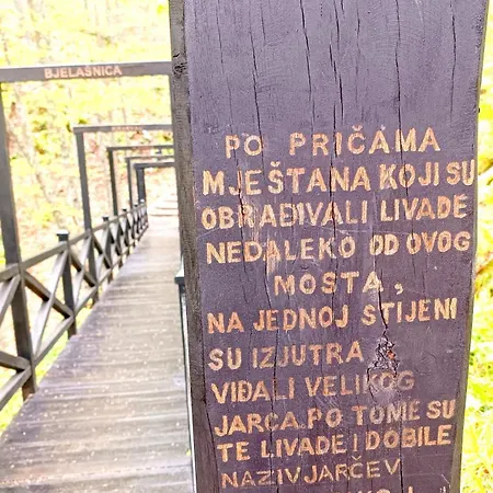 Oaza *