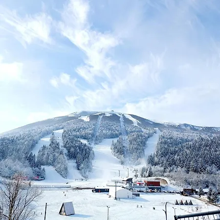 Oaza Daire Saraybosna