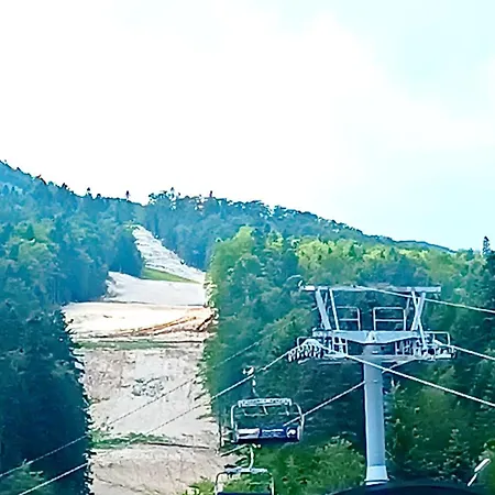 Oaza * Saraievo